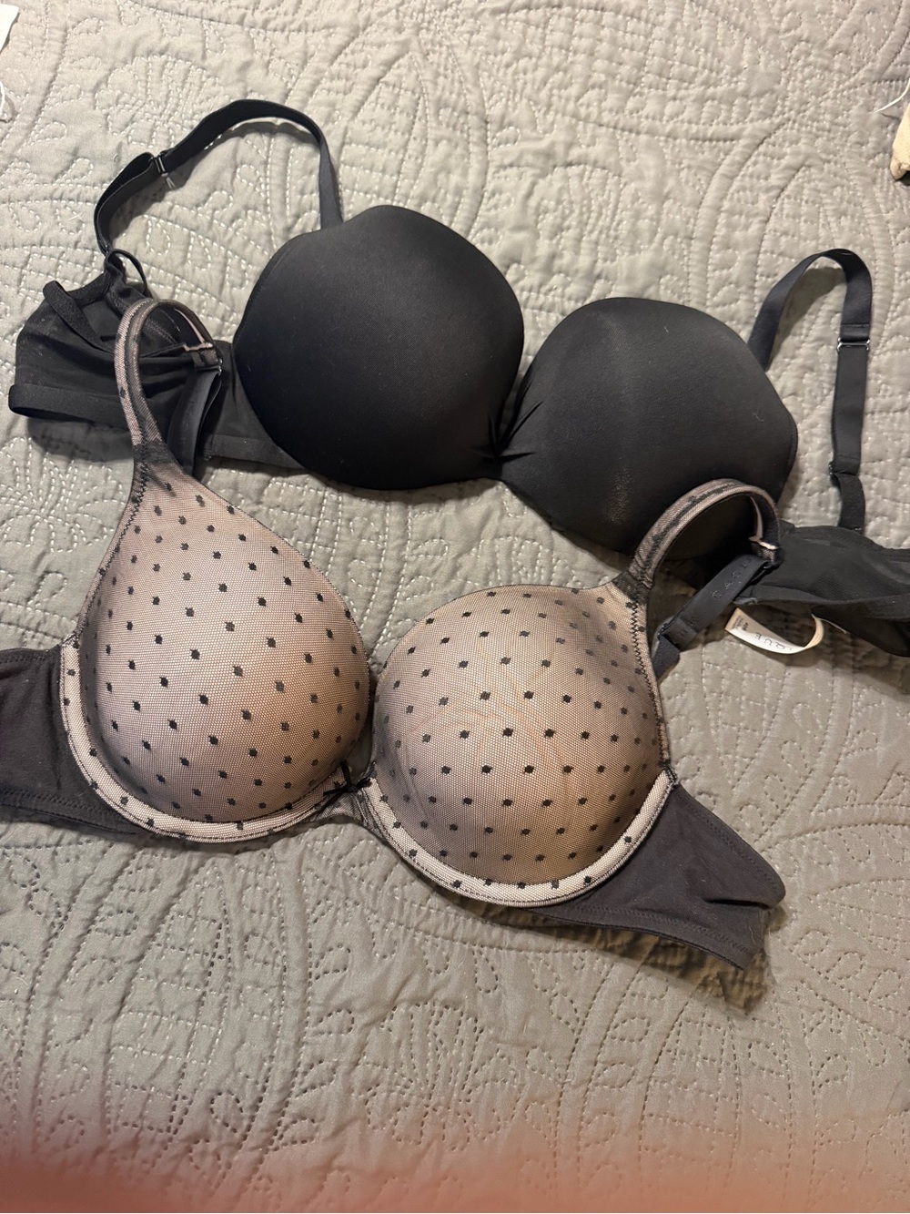 2 Cacique Black Sheer Polka Dot and Solid Black Bras